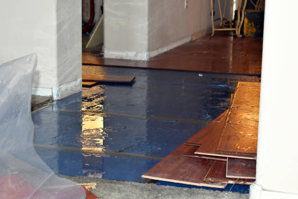 Professional Sewage Cleanup technician working in Aubrey, TX